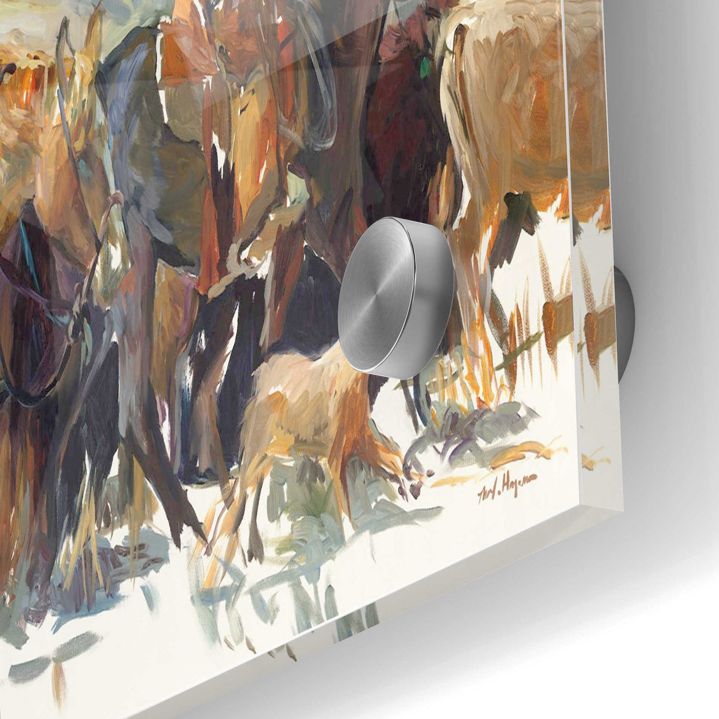 Epic Art 'The Roundup' by Marilyn Hageman, Acrylic Glass Wall Art,24x36
