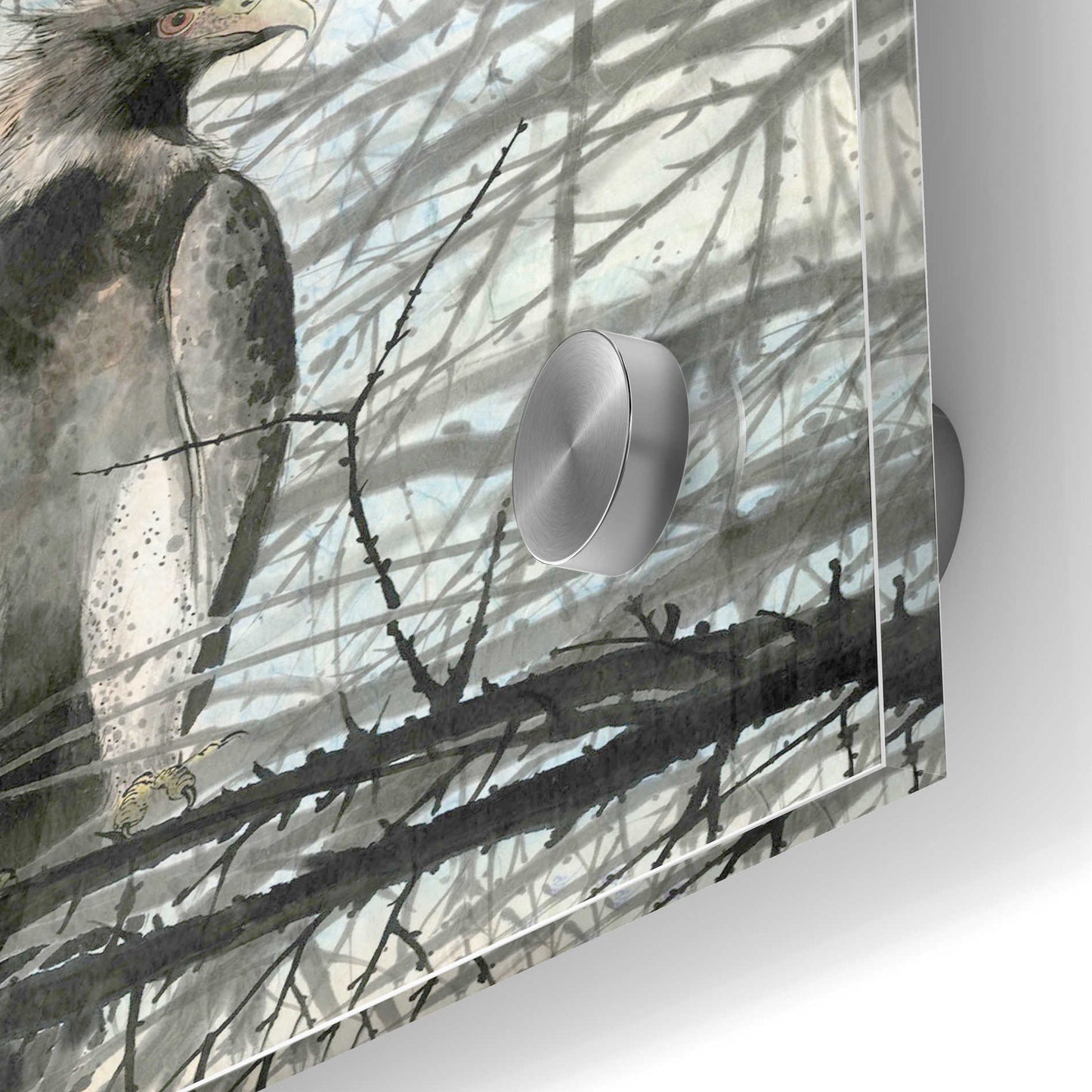 Epic Art 'Bird of Prey' by River Han, Acrylic Glass Wall Art,24x36