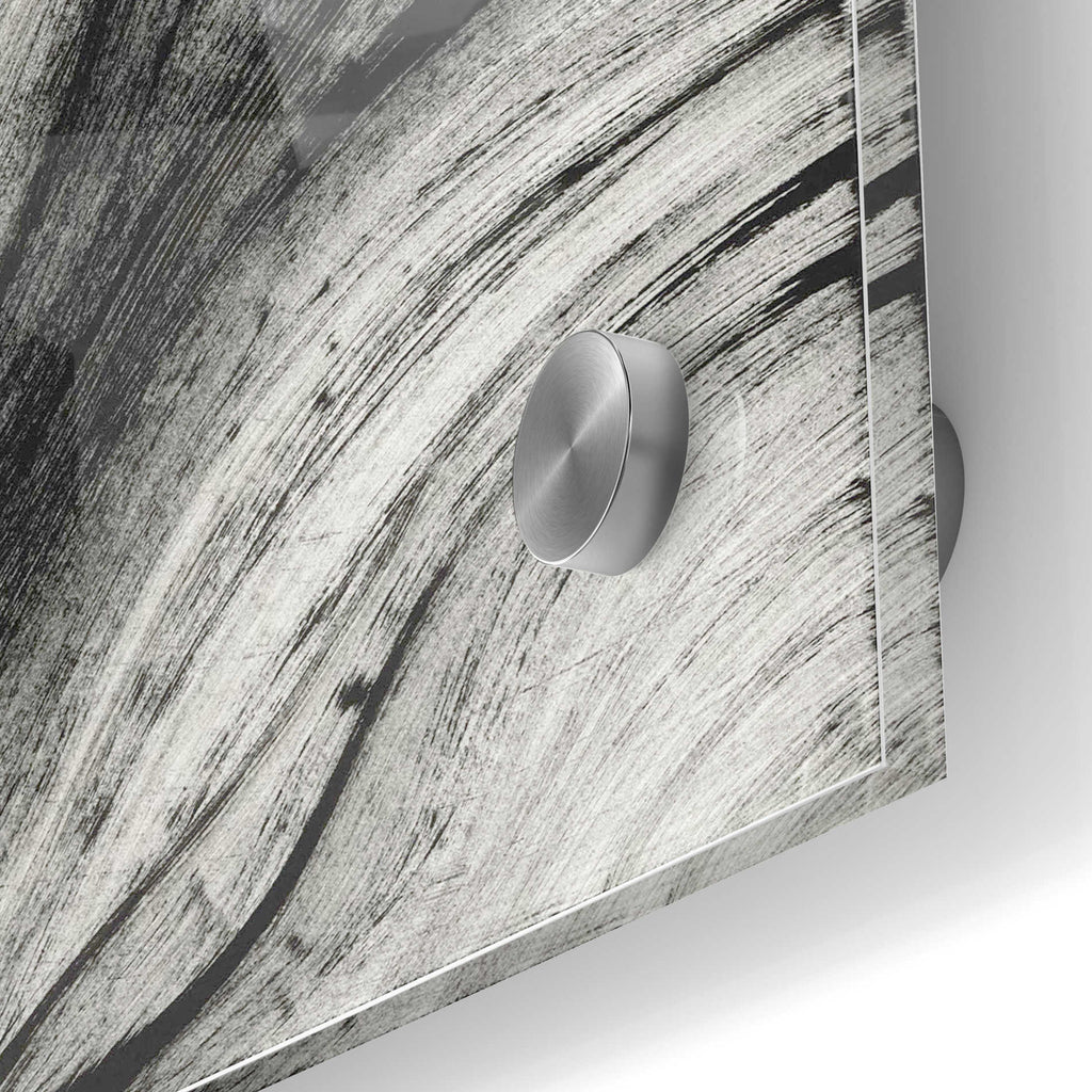 Epic Art 'Squall' Acrylic Glass Wall Art,24x36