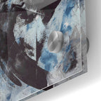 Epic Art 'Raven' Acrylic Glass Wall Art,24x36