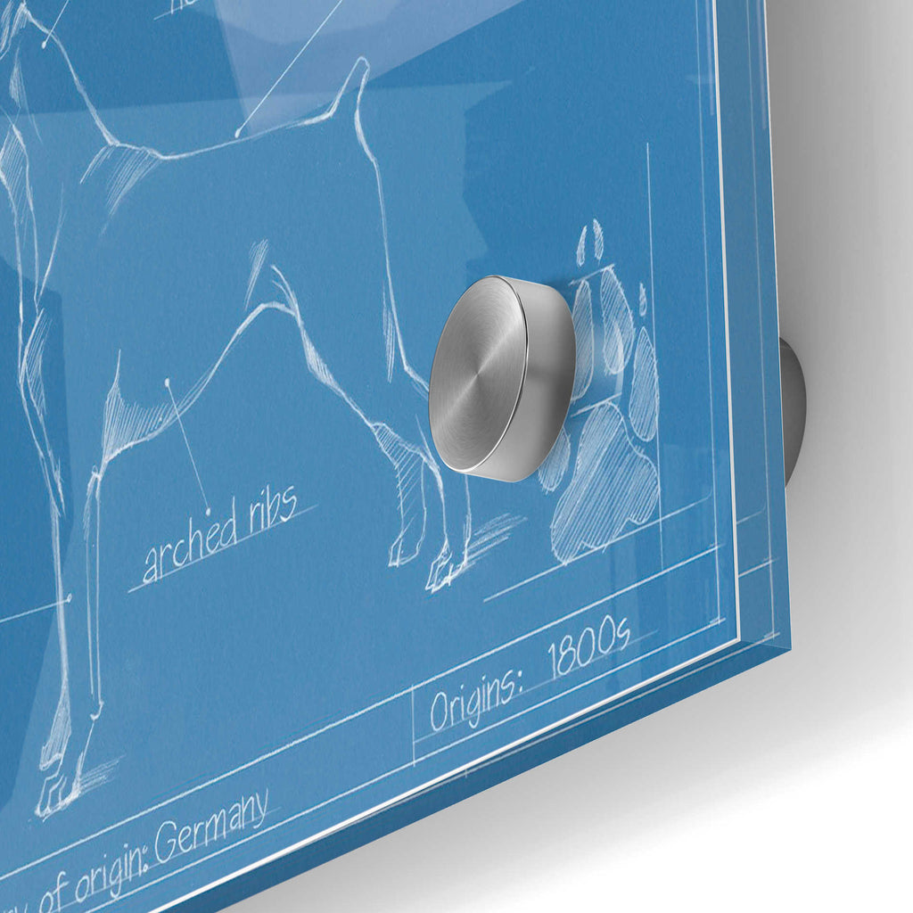 Epic Art 'Blueprint Boxer' by Ethan Harper Acrylic Glass Wall Art,24x36