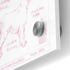 Epic Art 'Blueprint Golden Retriever in Pink' by Ethan Harper Acrylic Glass Wall Art,24x36
