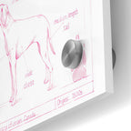 Epic Art 'Blueprint Labrador Retriever in Pink' by Ethan Harper Acrylic Glass Wall Art,24x36