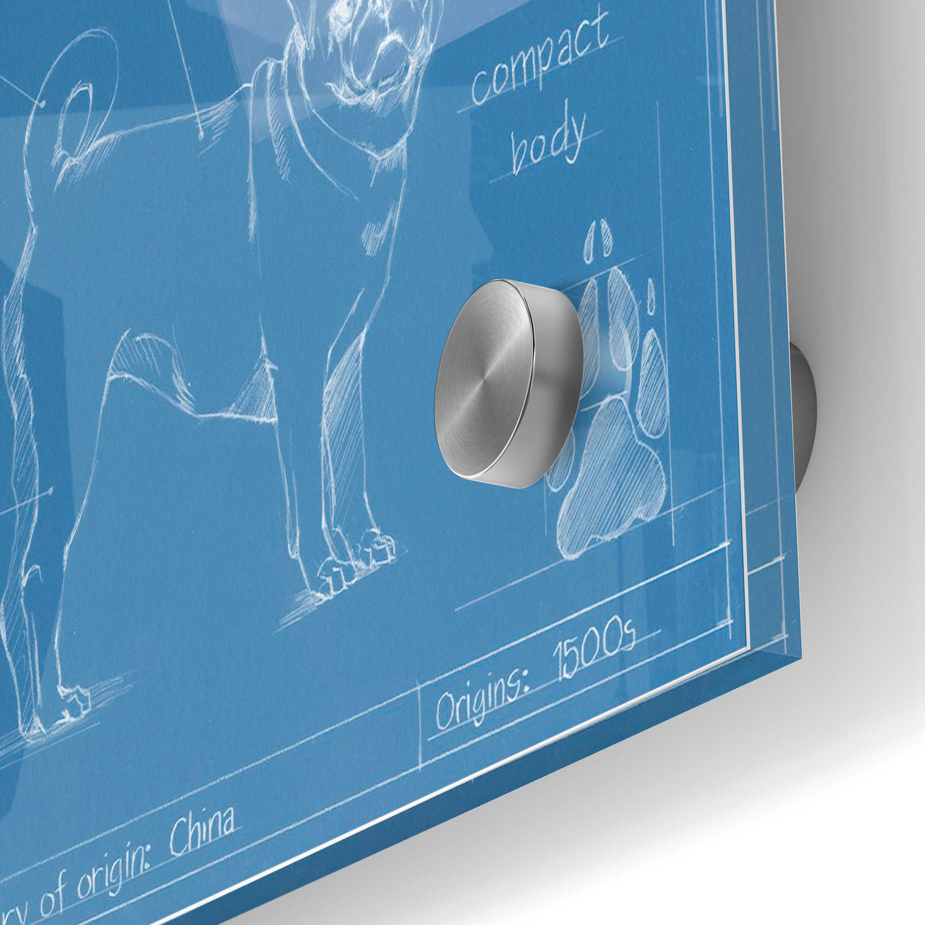 Epic Art 'Blueprint Pug' by Ethan Harper Acrylic Glass Wall Art,24x36