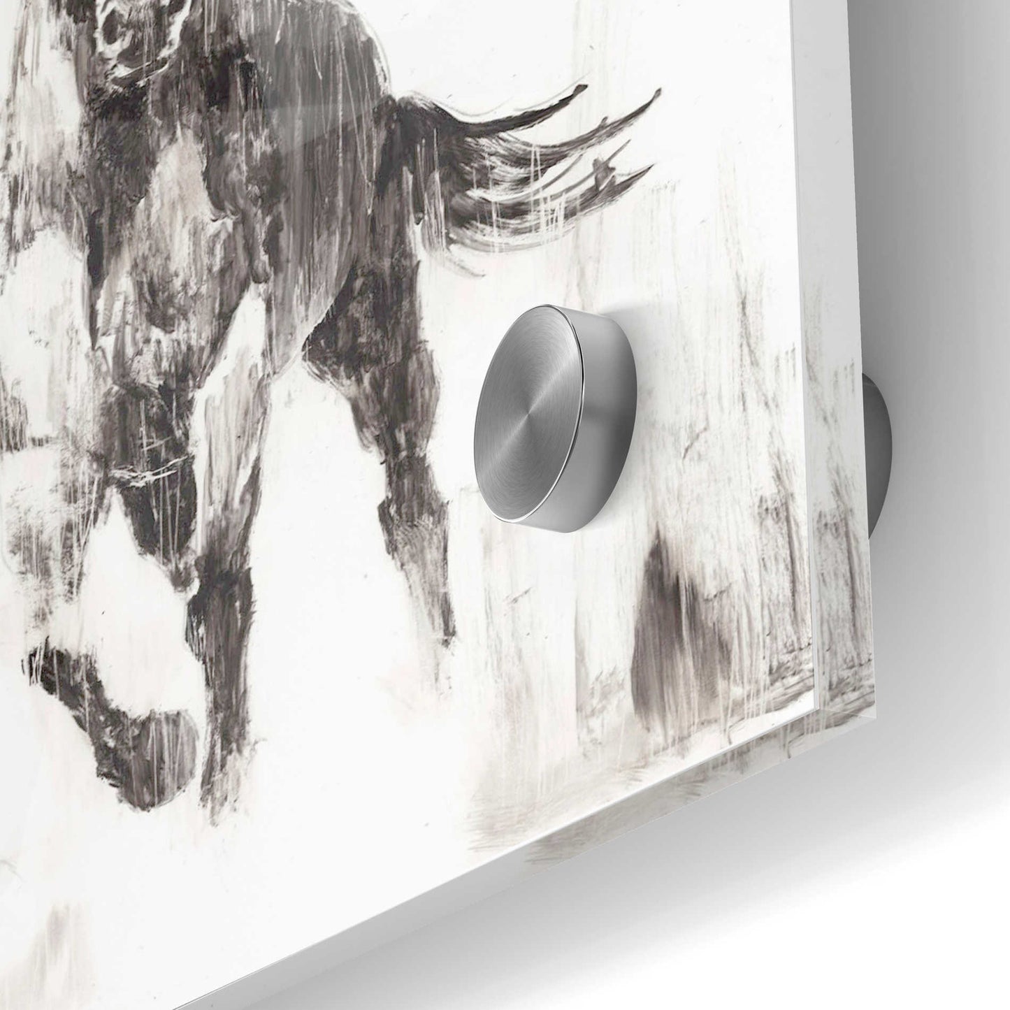 Epic Art 'Rustic Black Stallion II' by Ethan Harper Acrylic Glass Wall Art,24x36