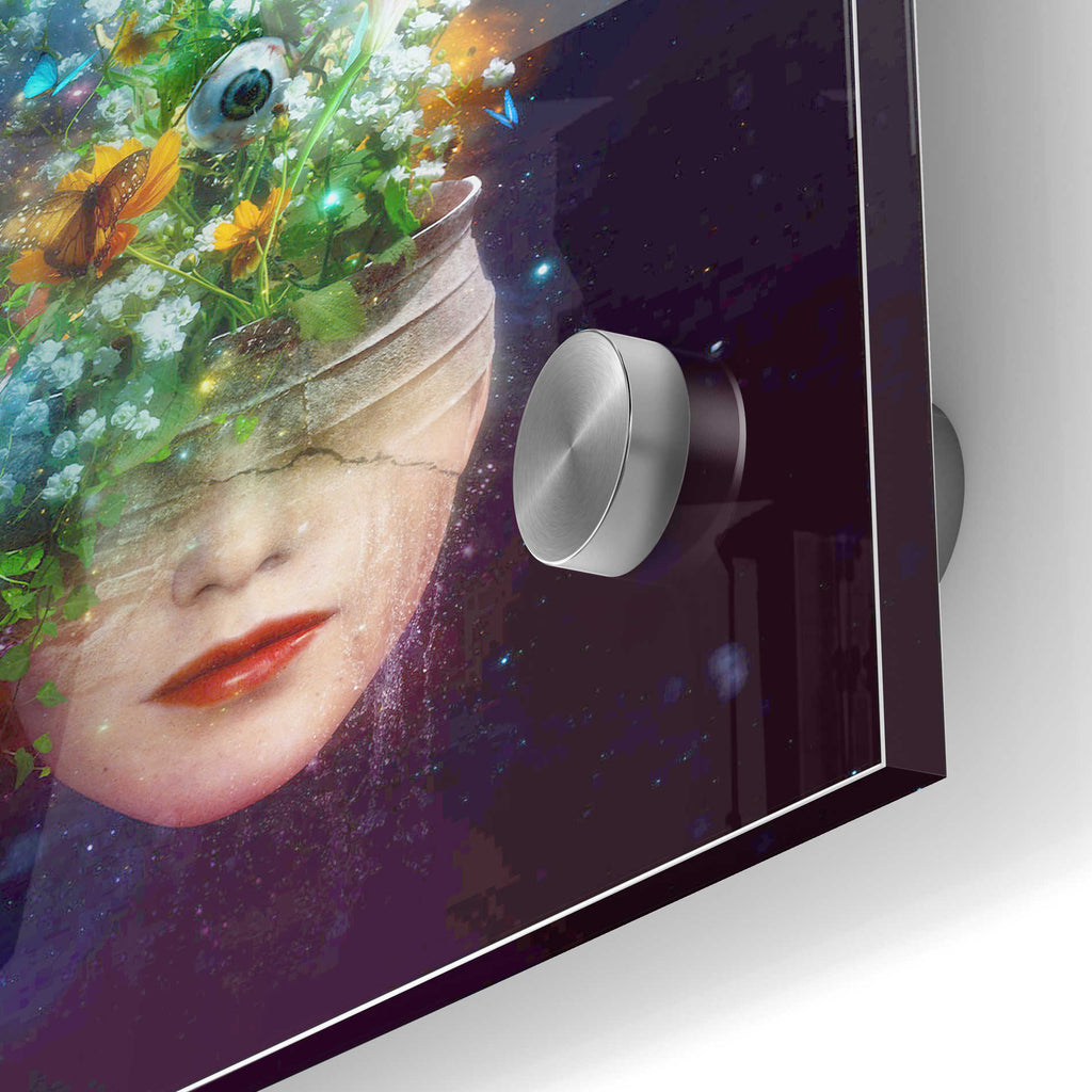 Epic Art 'Herbal Movement' by Mario Sanchez Nevado, Acrylic Glass Wall Art,24x36