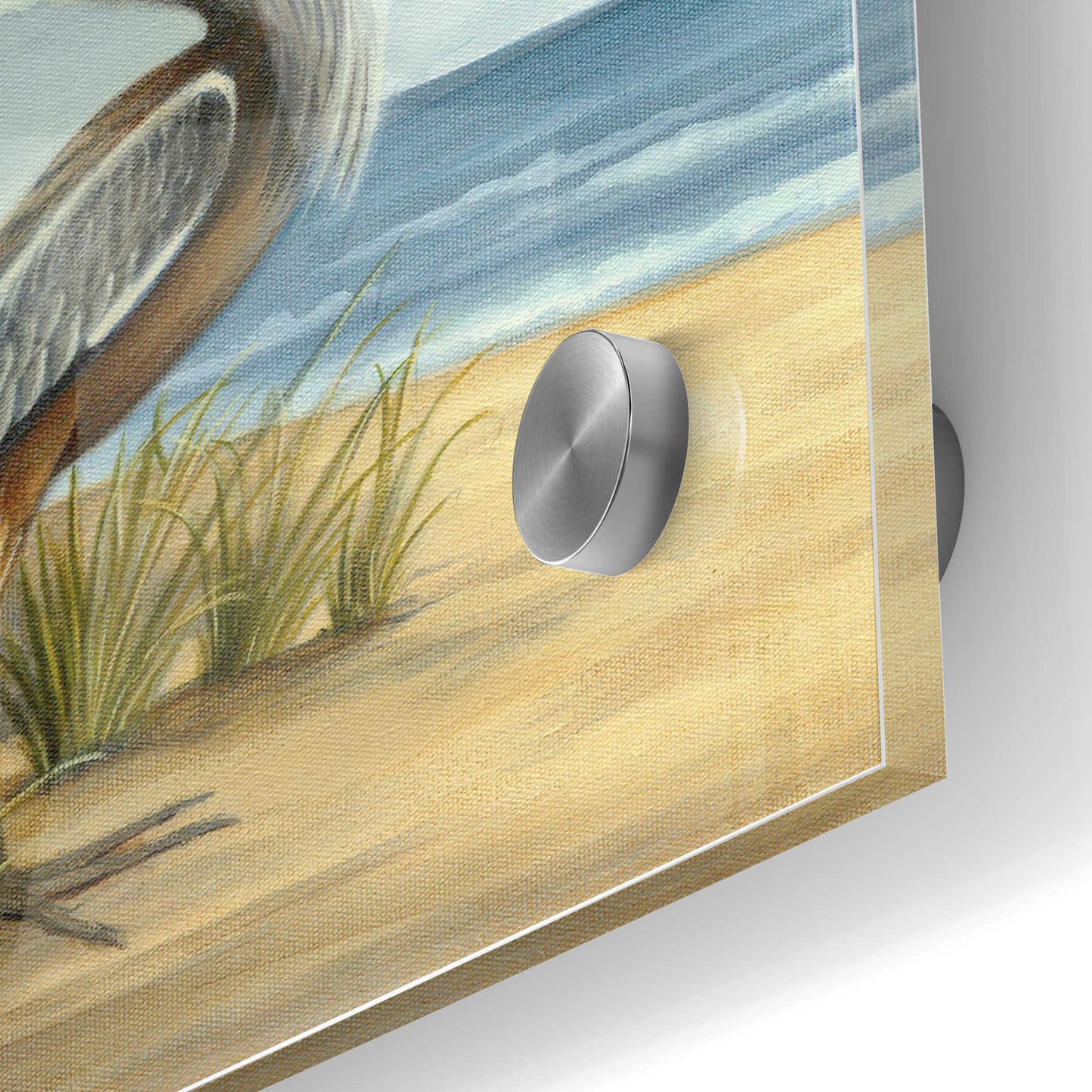 Epic Art 'Shore Bird I' by Ethan Harper Acrylic Glass Wall Art,24x36