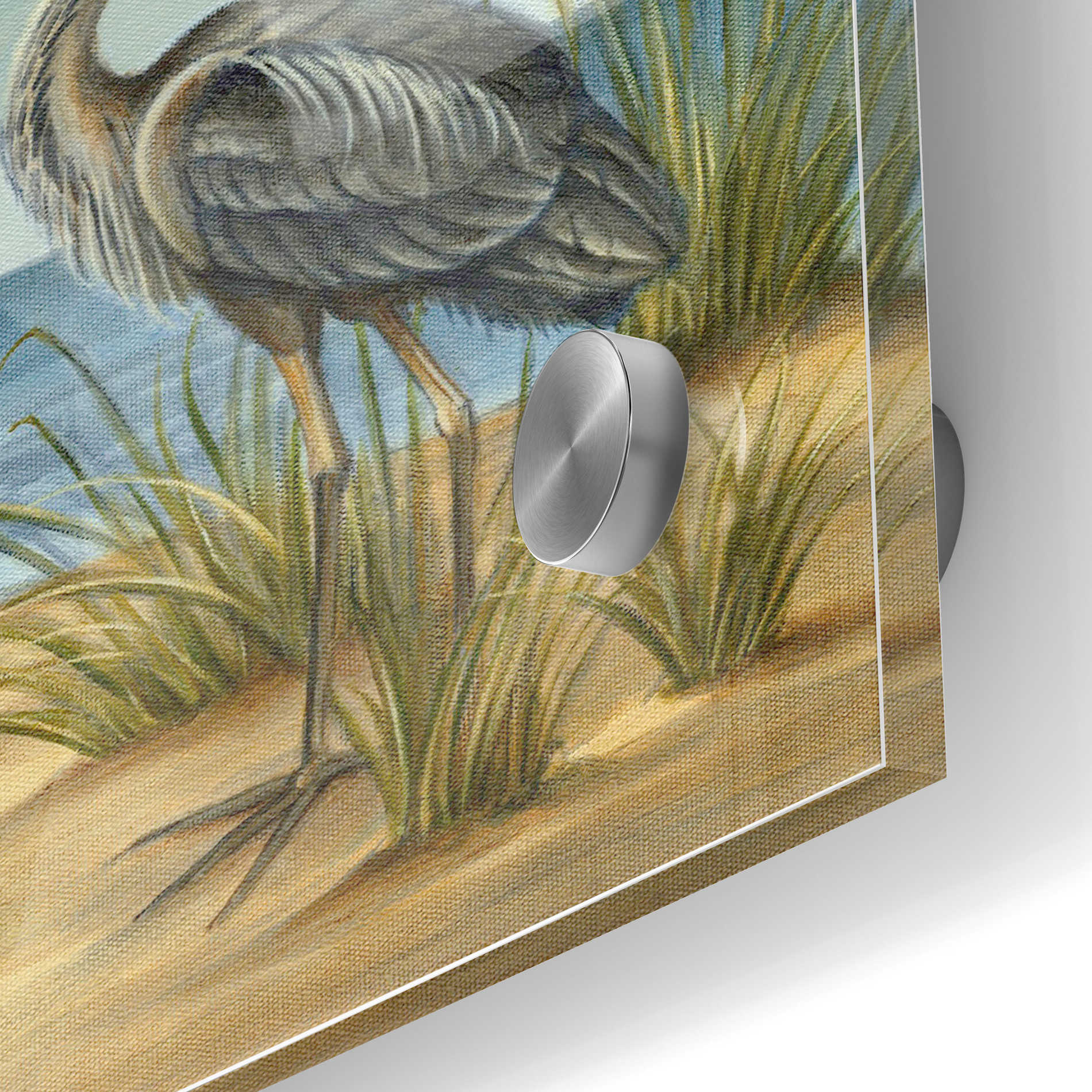 Epic Art 'Shore Bird II' by Ethan Harper Acrylic Glass Wall Art,24x36