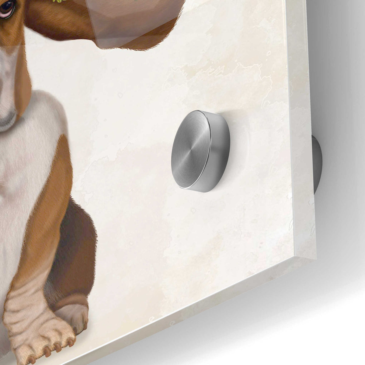 Epic Art 'Basset Hound Windswept and Interesting' by Fab Funky Acrylic Glass Wall Art,24x36