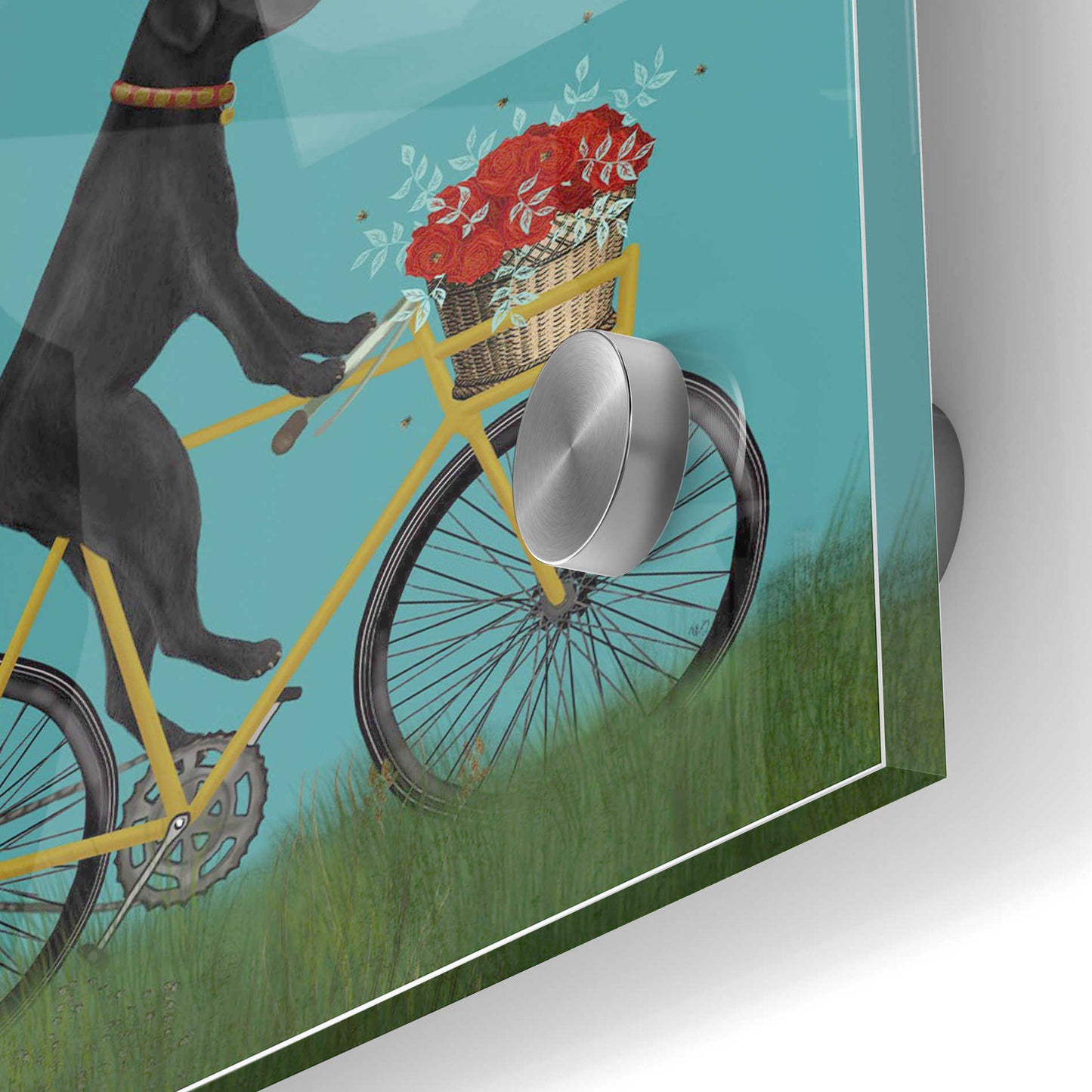 Epic Art 'Black Labrador on Bicycle - Sky' by Fab Funky Acrylic Glass Wall Art,24x36