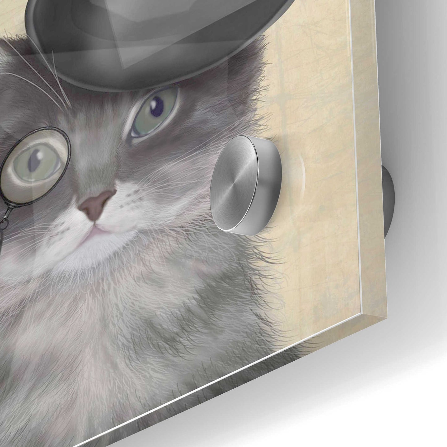 Epic Art 'Cat, Grey with Top Hat' by Fab Funky Acrylic Glass Wall Art,24x36