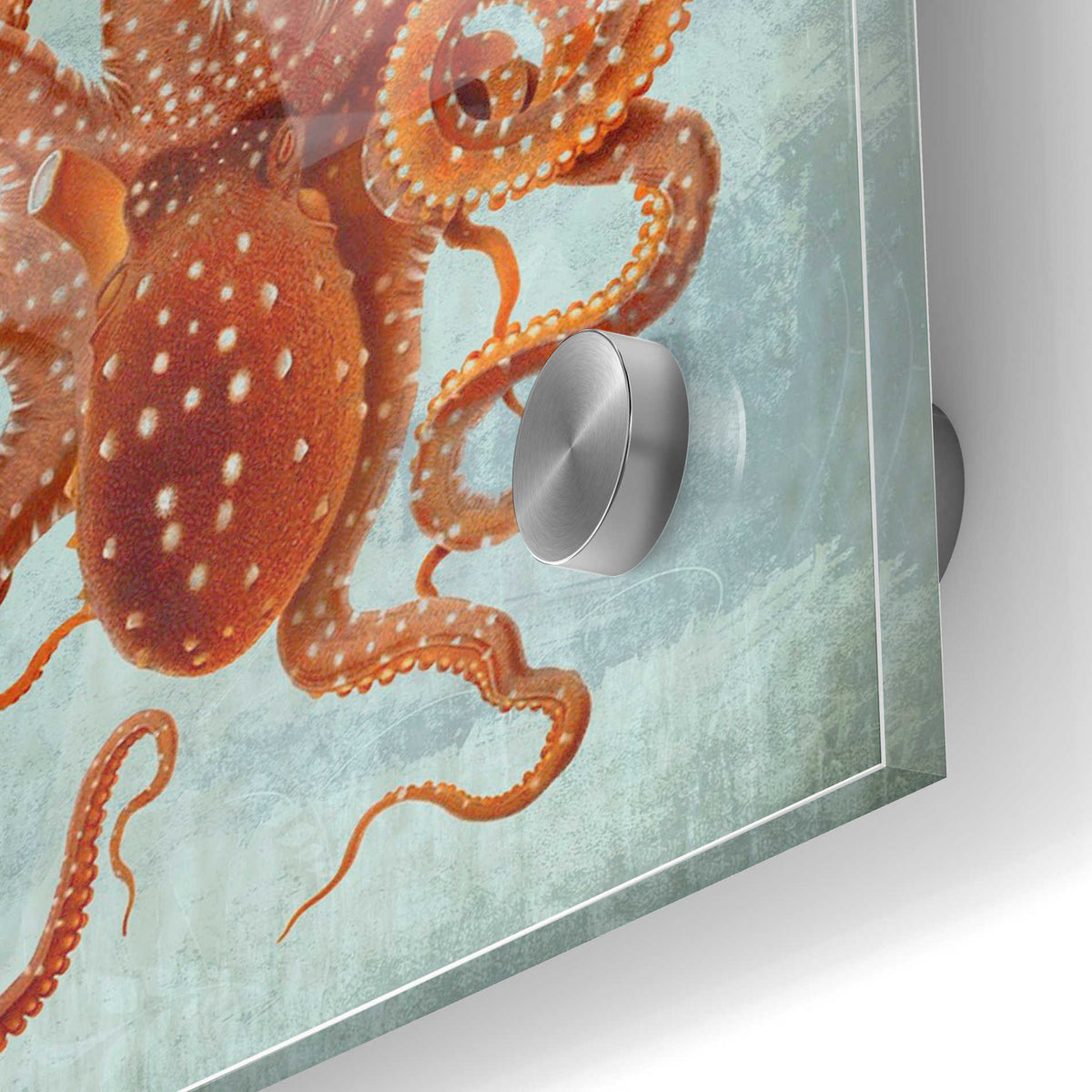 Epic Art 'Coastal Life Collection 2 b' by Fab Funky Acrylic Glass Wall Art,24x36