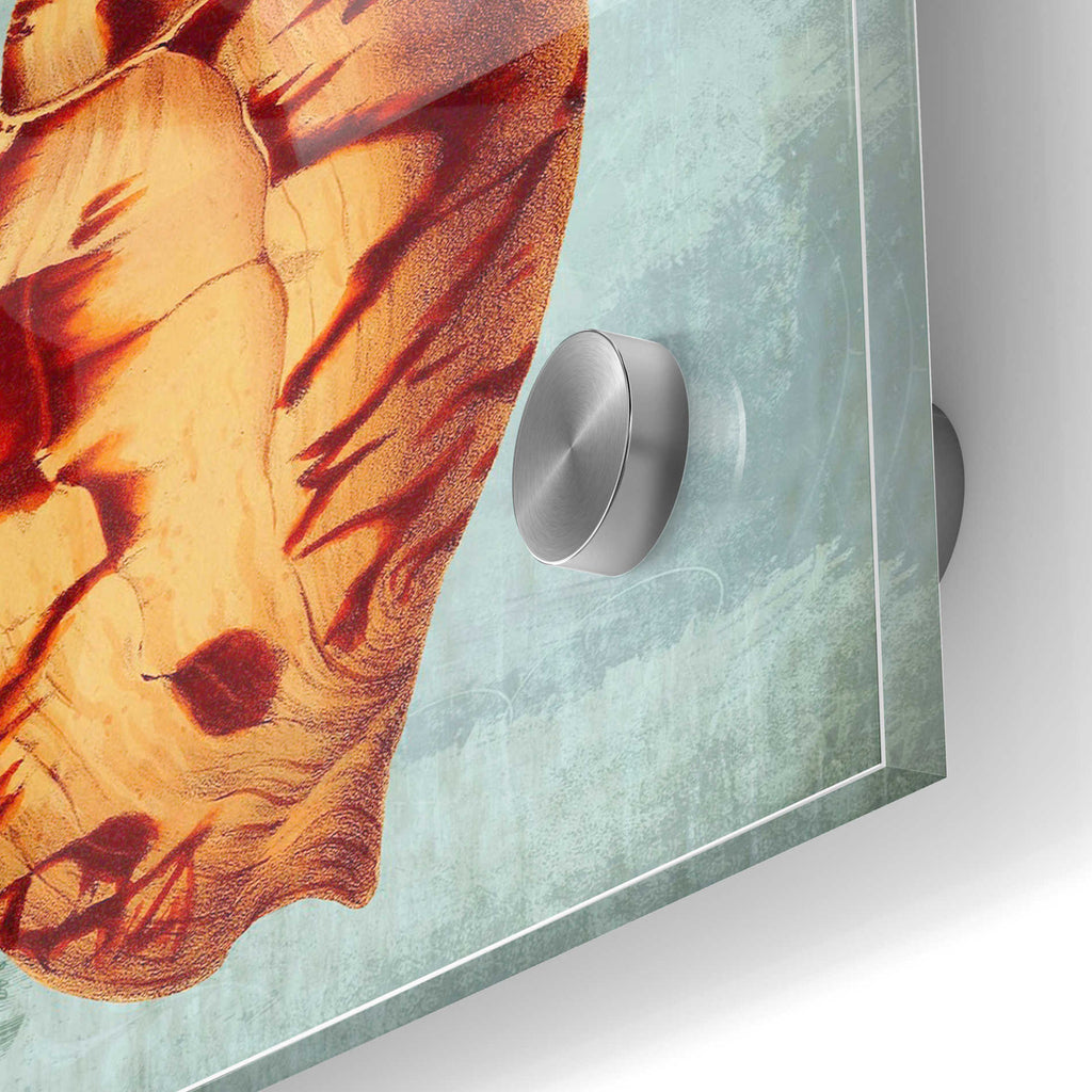 Epic Art 'Coastal Life Collection 2 d' by Fab Funky Acrylic Glass Wall Art,24x36