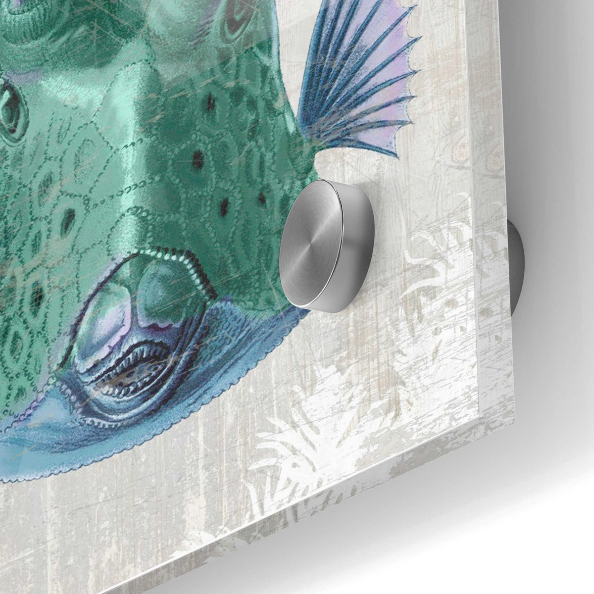 Epic Art 'Cowfish' by Fab Funky Acrylic Glass Wall Art,24x36