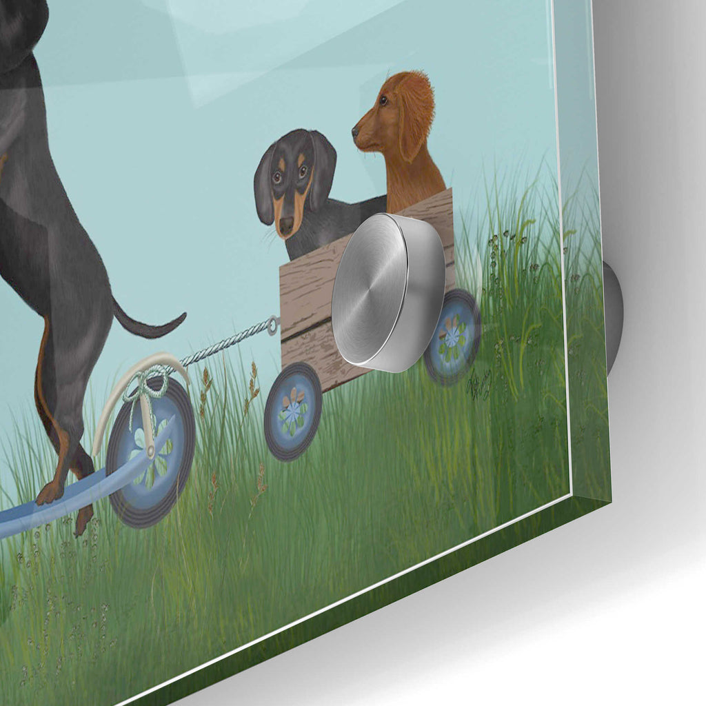 Epic Art 'Dachshund Scooter' by Fab Funky Acrylic Glass Wall Art,24x36