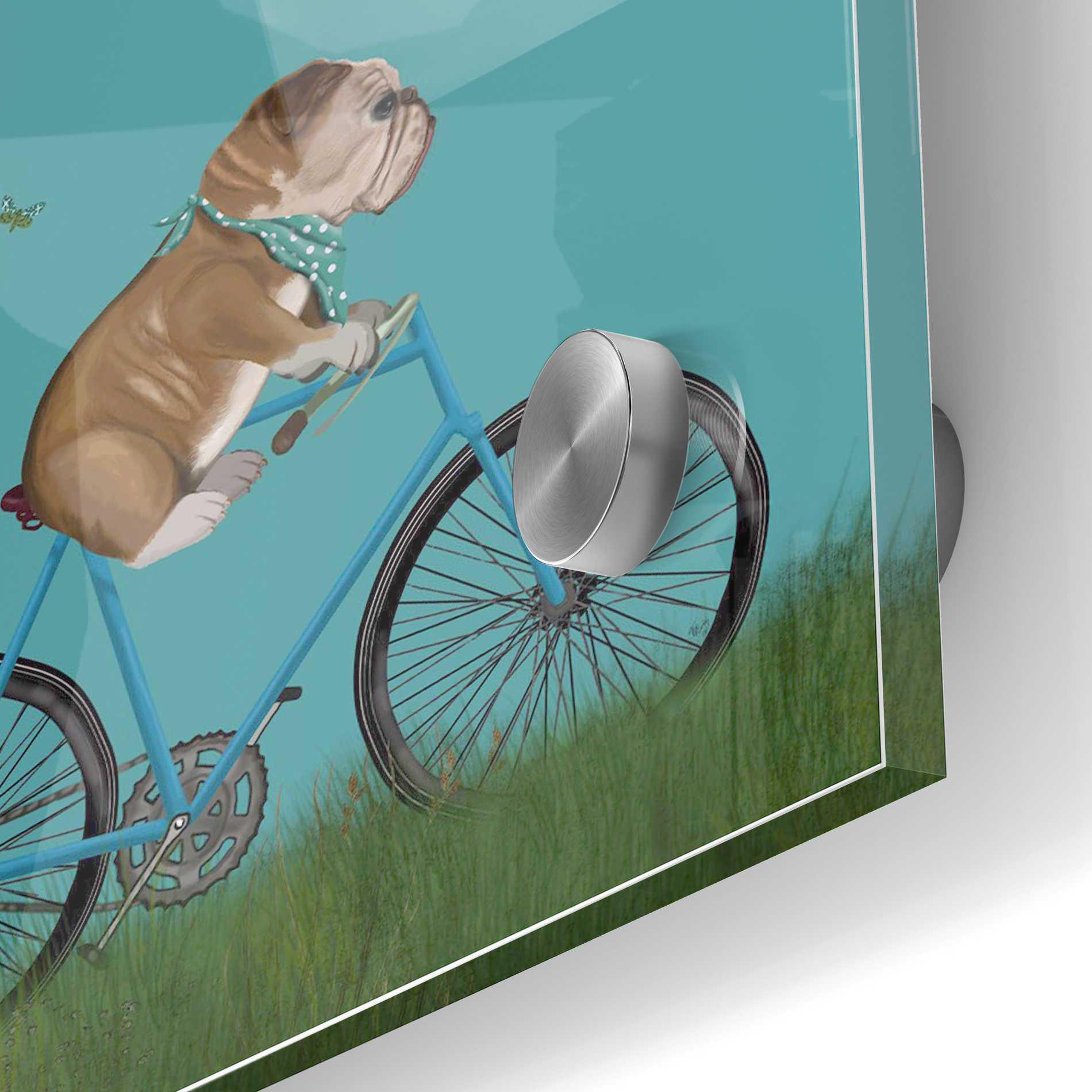 Epic Art 'English Bulldog on Bicycle - Sky' by Fab Funky Acrylic Glass Wall Art,24x36