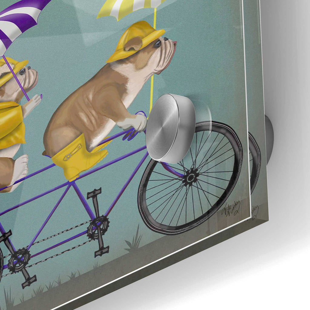 Epic Art 'English Bulldog Tandem' by Fab Funky Acrylic Glass Wall Art,24x36