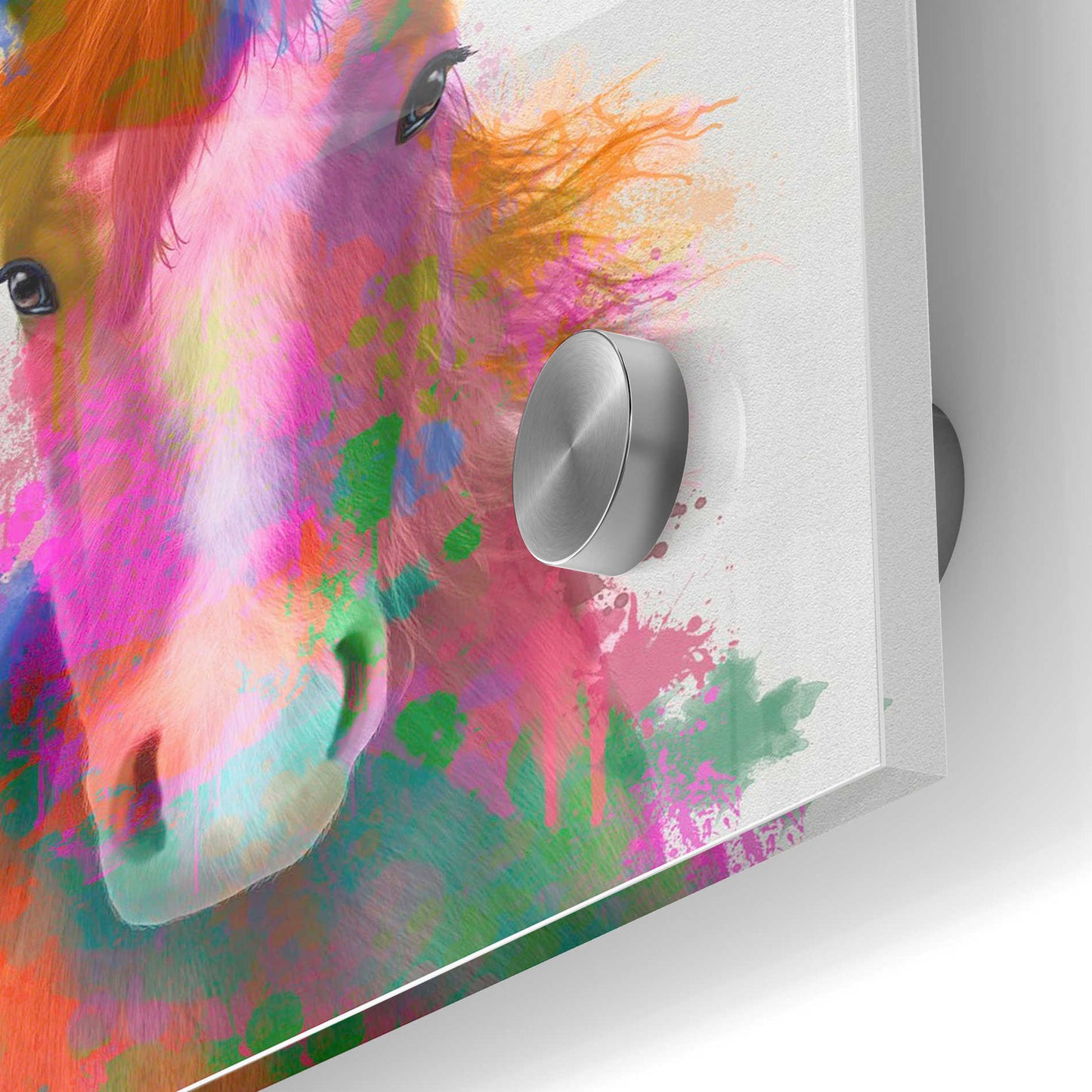 Epic Art 'Horse Portrait 2 Rainbow Splash' by Fab Funky Acrylic Glass Wall Art,24x36