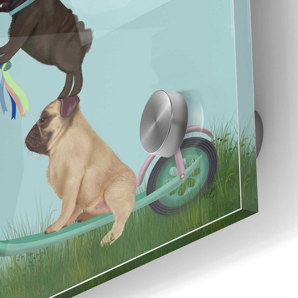 Epic Art 'Pug Scooter' by Fab Funky Acrylic Glass Wall Art,24x36