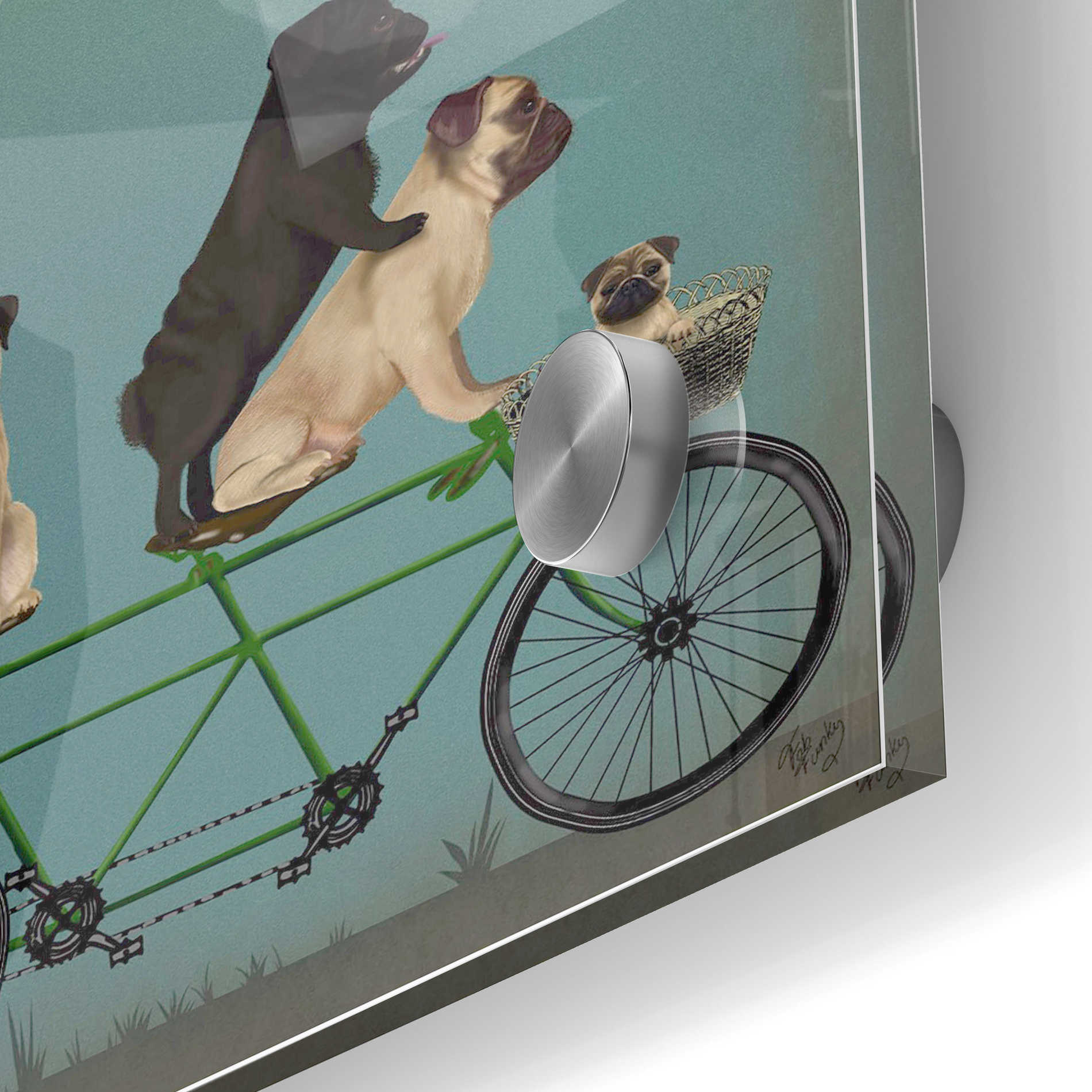 Epic Art 'Pug Tandem' by Fab Funky Acrylic Glass Wall Art,24x36