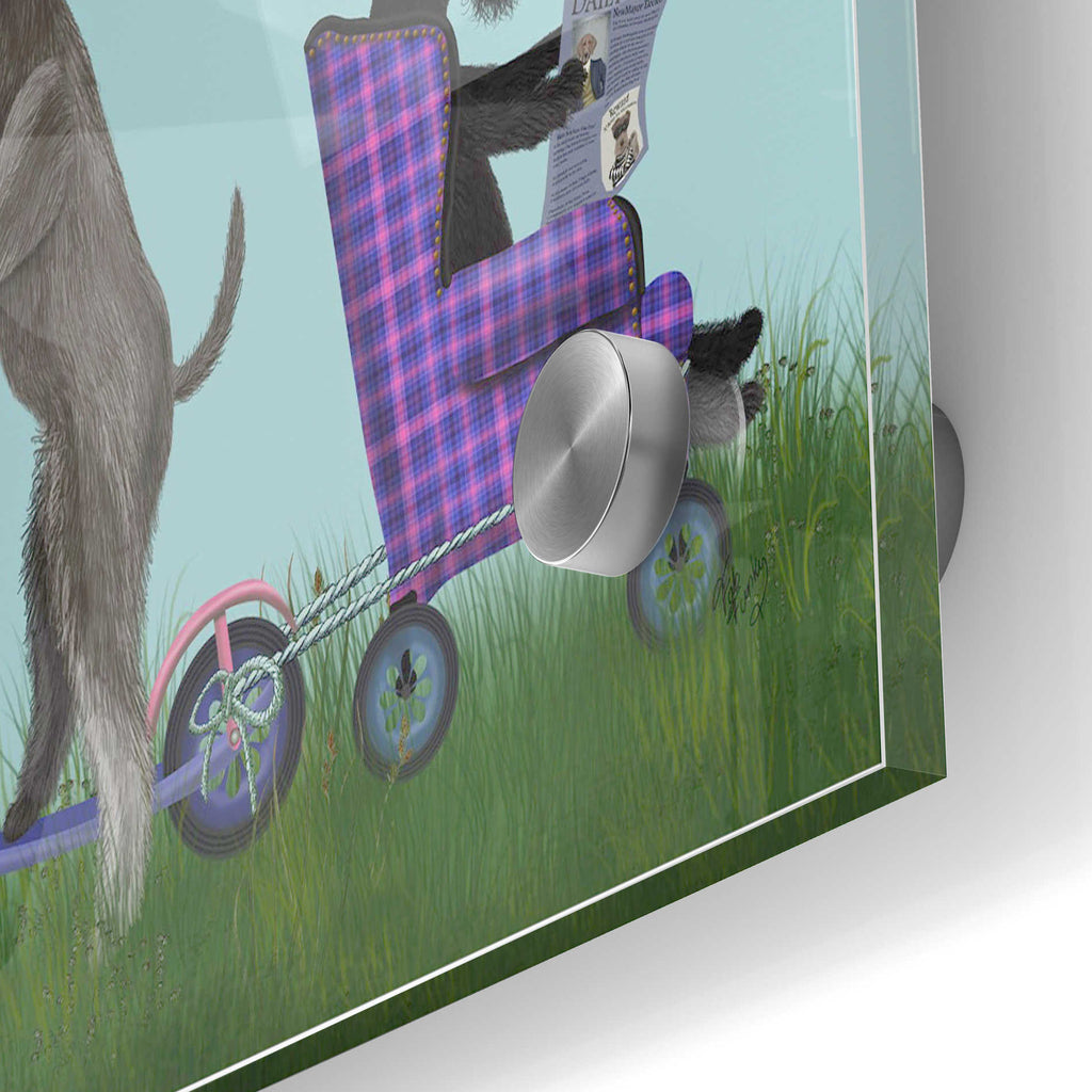 Epic Art 'Schnauzer Scooter' by Fab Funky Acrylic Glass Wall Art,24x36