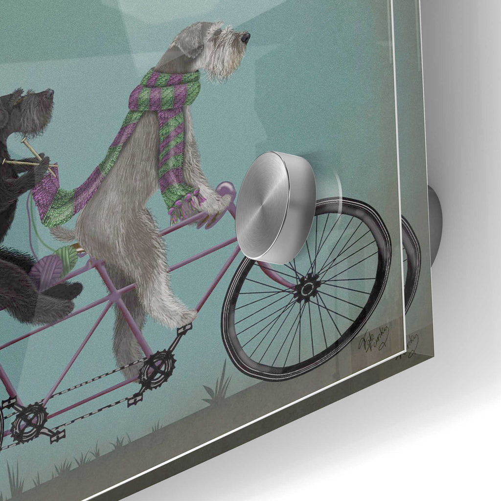 Epic Art 'Schnauzer Tandem' by Fab Funky Acrylic Glass Wall Art,24x36