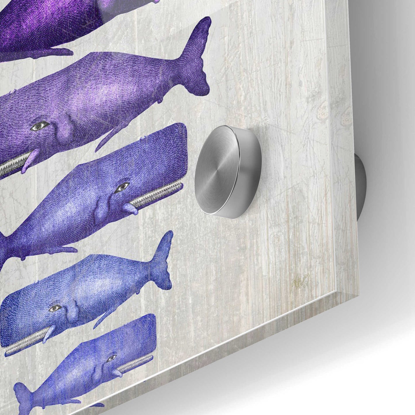Epic Art 'Whale Family Purple on White' by Fab Funky Acrylic Glass Wall Art,24x36