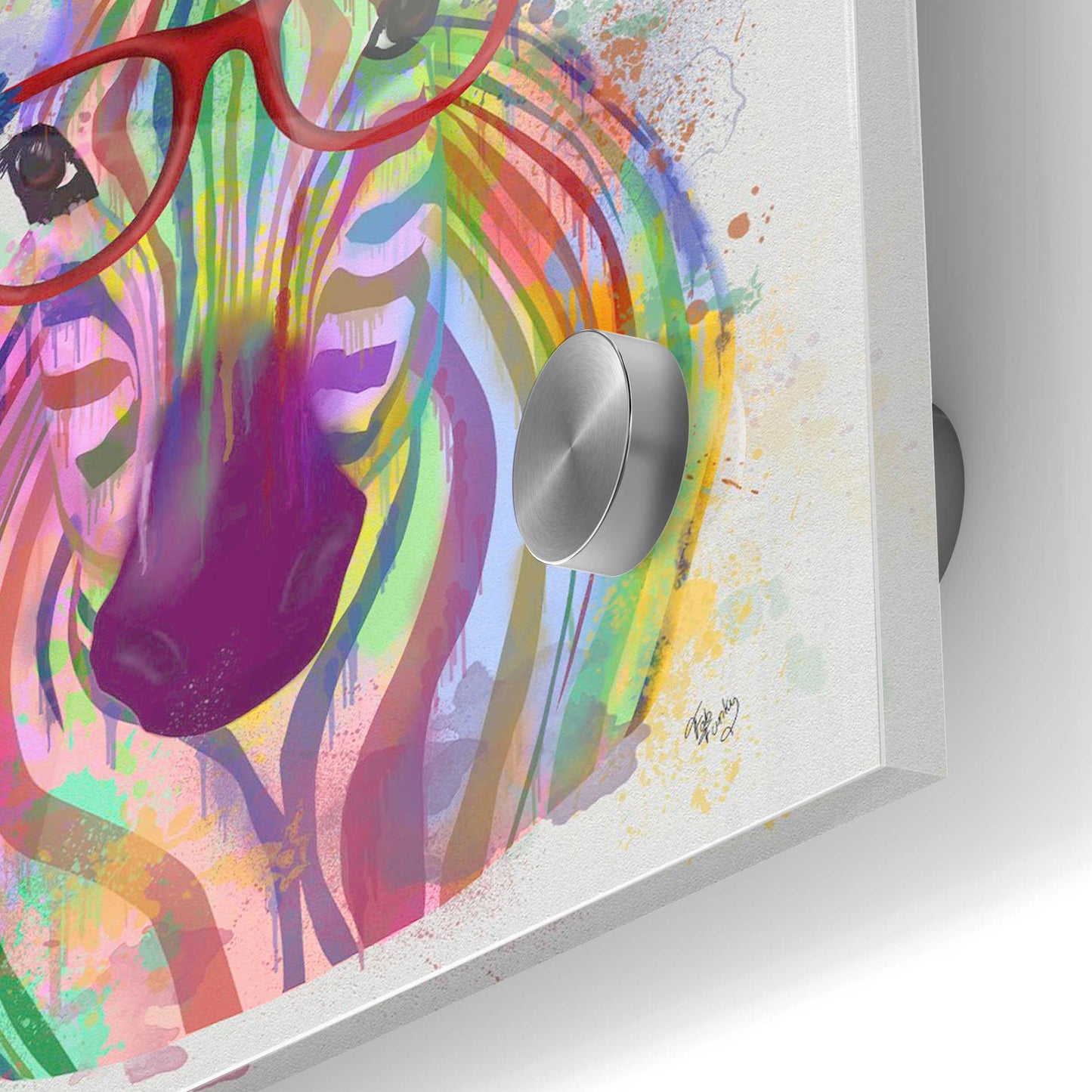 Epic Art 'Zebra Rainbow Splash 1' by Fab Funky Acrylic Glass Wall Art,24x36