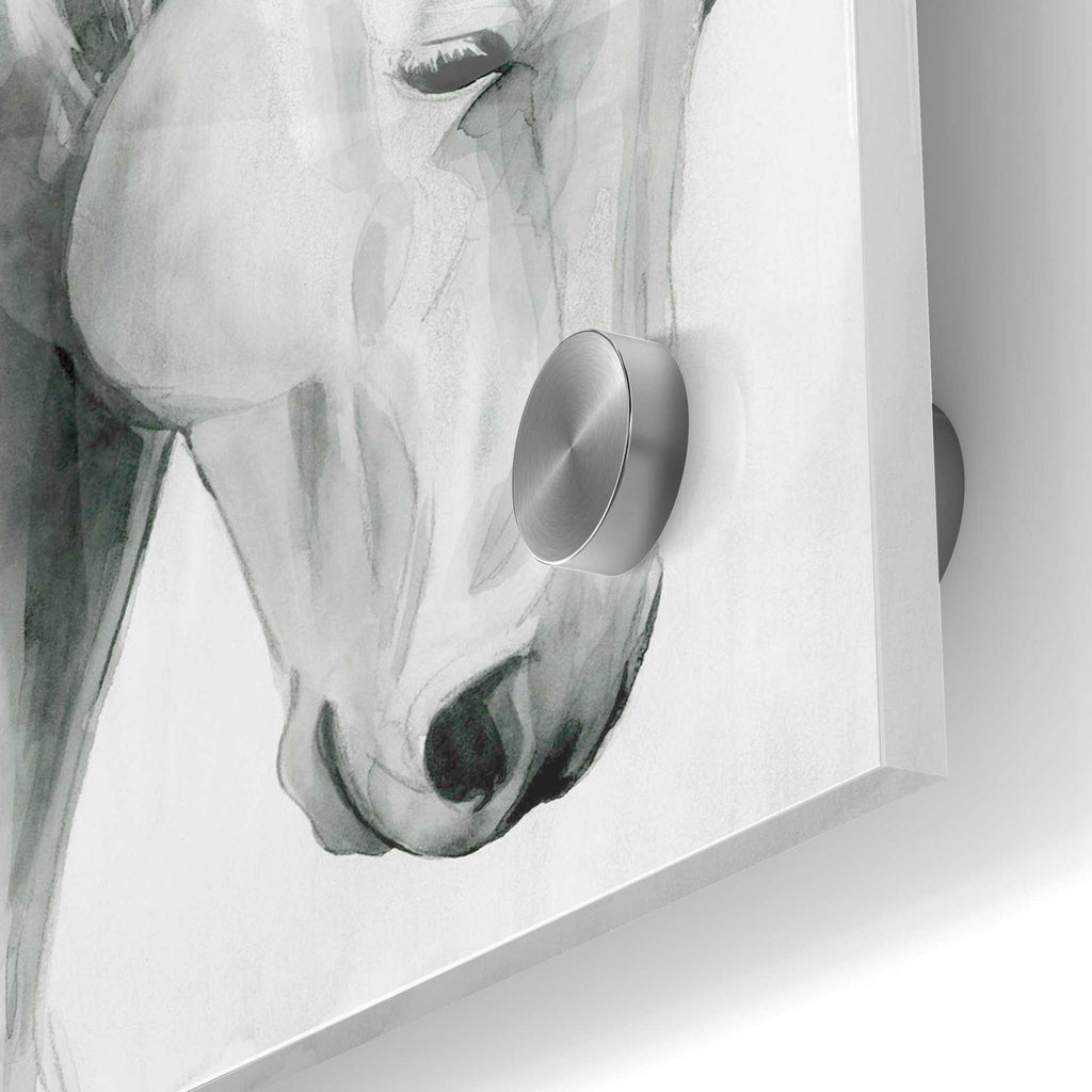Epic Art 'Horse Whisper II' by Grace Popp Acrylic Glass Wall Art,24x36