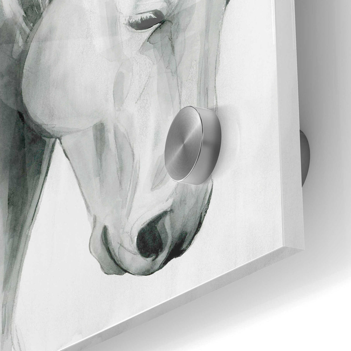 Epic Art 'Horse Whisper II' by Grace Popp Acrylic Glass Wall Art,24x36