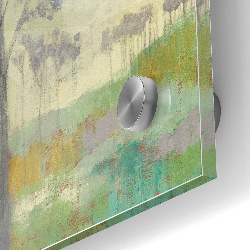 Epic Art 'Tree Stand II' by Jennifer Goldberger Acrylic Glass Wall Art,24x36