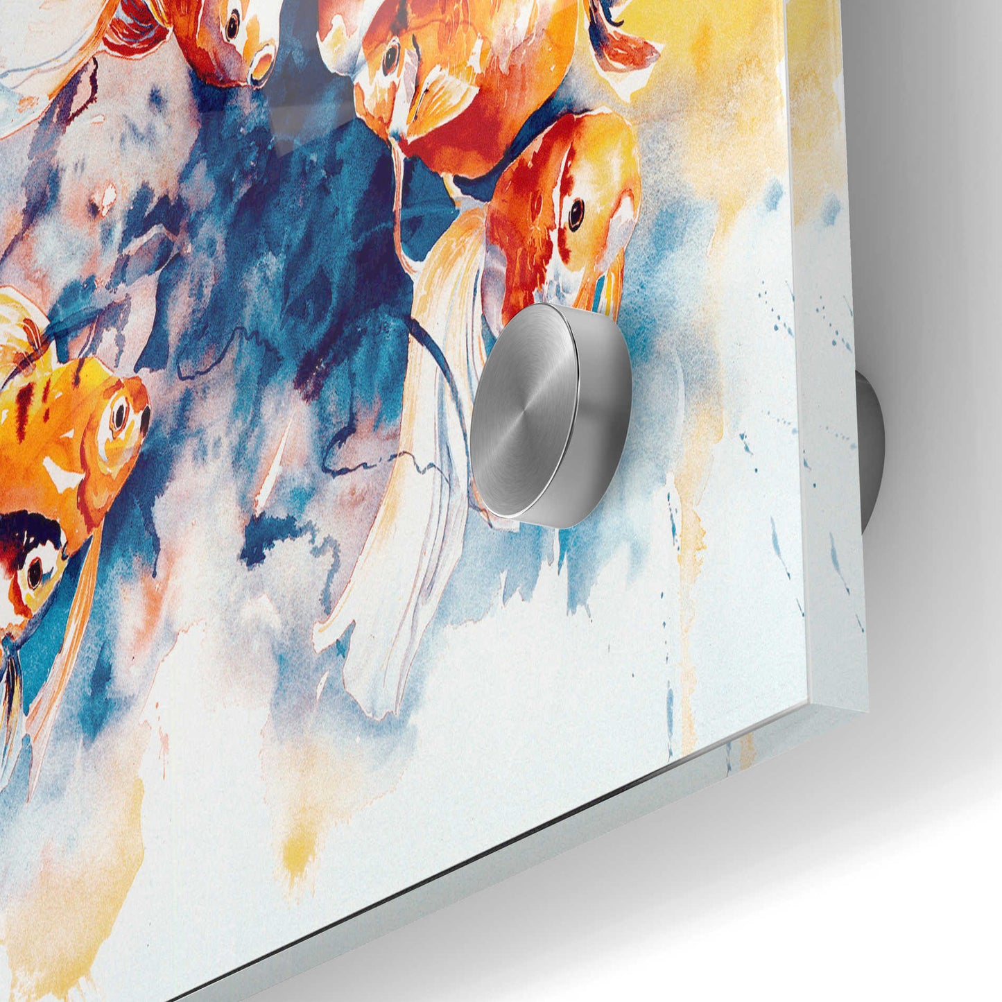 Epic Art 'Goldfish in Color' by Anne Waters, Acrylic Glass Wall Art,24x36