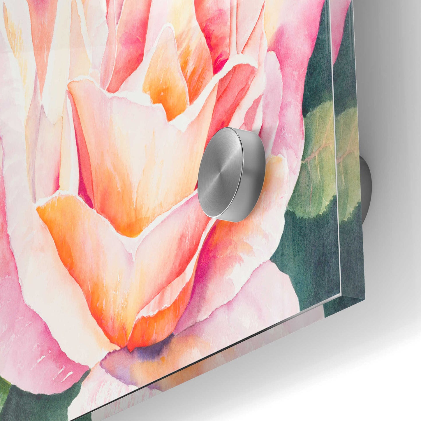 Epic Art 'Sunlit Rose' by Anne Waters, Acrylic Glass Wall Art,24x36