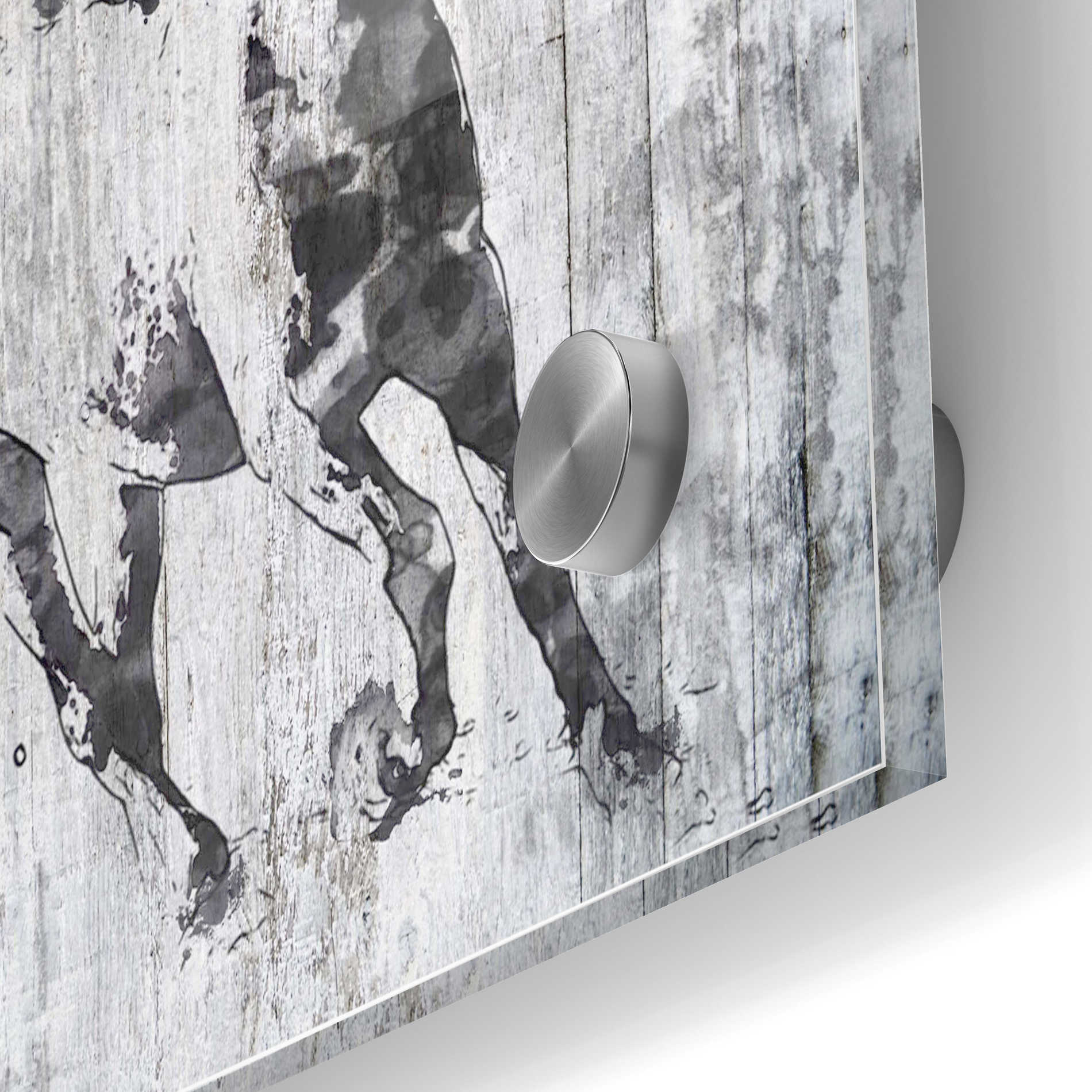 Epic Art 'Running Black Horse 1' by Irena Orlov, Acrylic Glass Wall Art,24x36