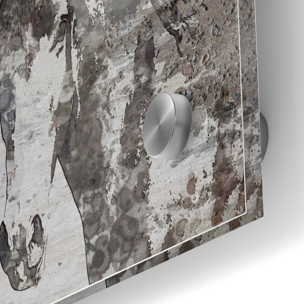 Epic Art 'Portrait of a Horse' by Irena Orlov, Acrylic Glass Wall Art,24x36