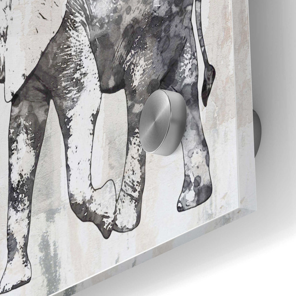 Epic Art 'Rustic Grey Elephant 2' by Irena Orlov, Acrylic Glass Wall Art,24x36