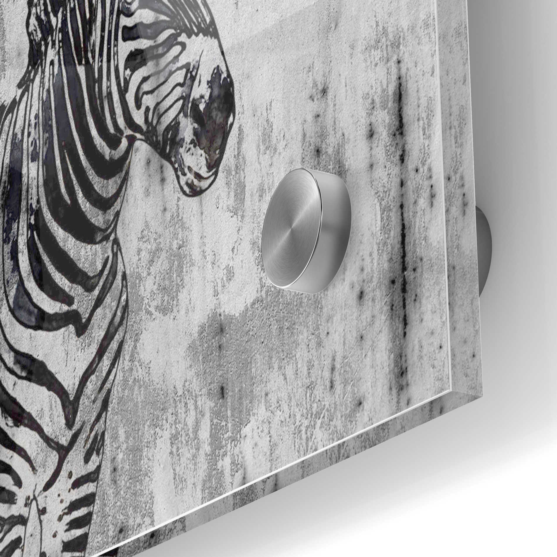 Epic Art 'Rustic Zebra 1' by Irena Orlov, Acrylic Glass Wall Art,24x36