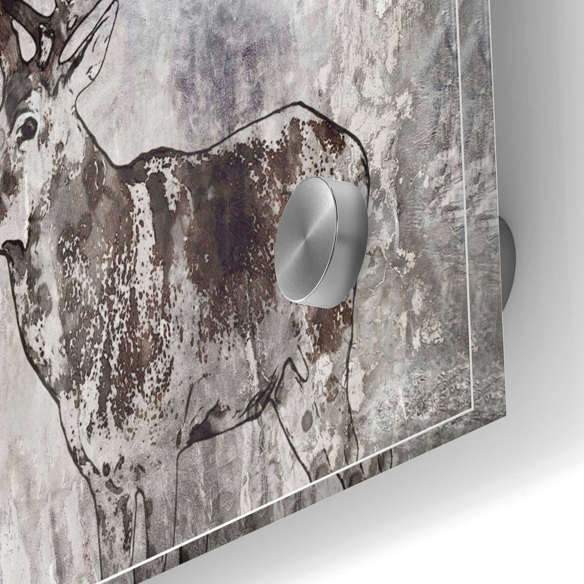 Epic Art 'Javan Rusa' by Irena Orlov, Acrylic Glass Wall Art,24x36