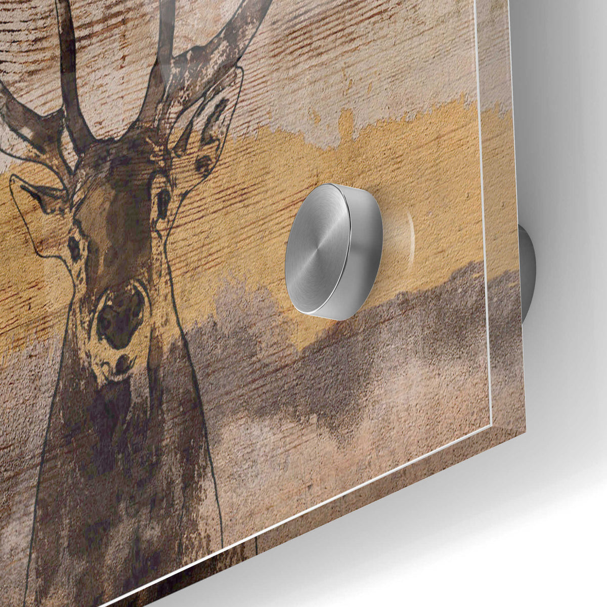 Epic Art 'White-Tailed Deer' by Irena Orlov, Acrylic Glass Wall Art,24x36