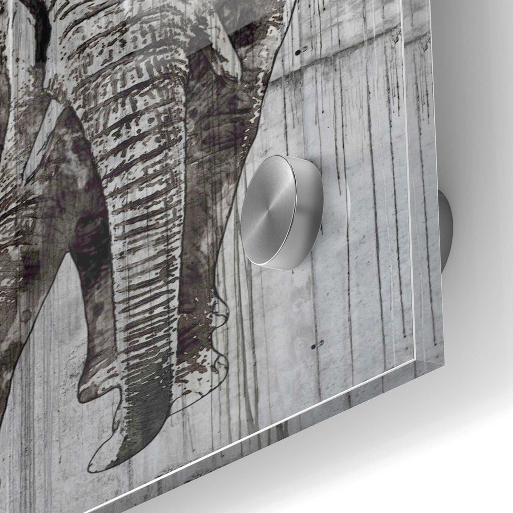Epic Art 'ELEPHANT Portrait' by Irena Orlov, Acrylic Glass Wall Art,24x36