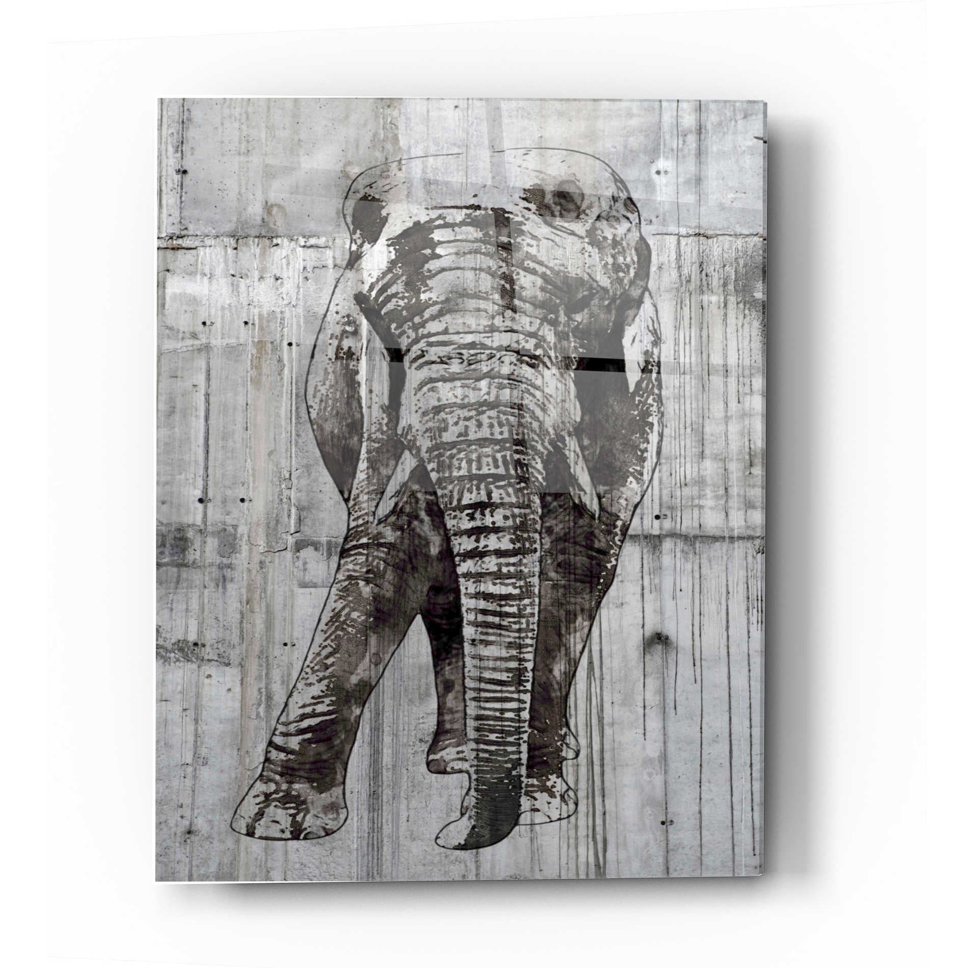 Epic Art 'ELEPHANT Portrait' by Irena Orlov, Acrylic Glass Wall Art,24x36