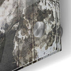 Epic Art 'SPIRIT EYE Horse' by Irena Orlov, Acrylic Glass Wall Art,24x36