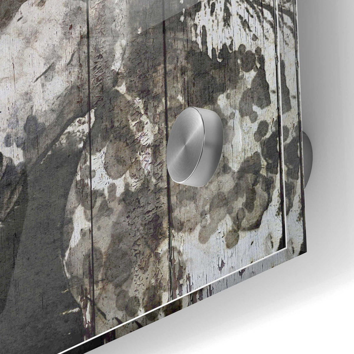 Epic Art 'SPIRIT EYE Horse' by Irena Orlov, Acrylic Glass Wall Art,24x36