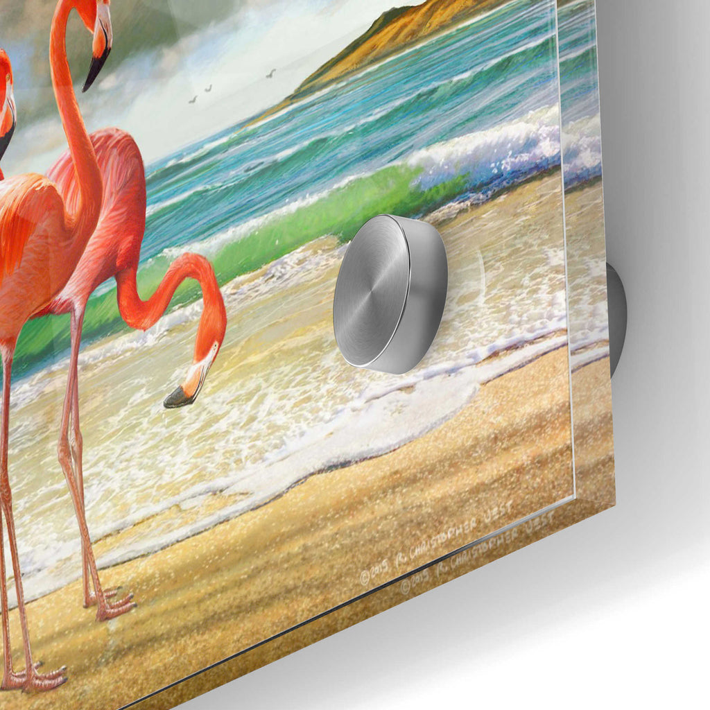 Epic Art 'Beach Scene Flamingos' by Chris Vest, Acrylic Glass Wall Art,24'x36