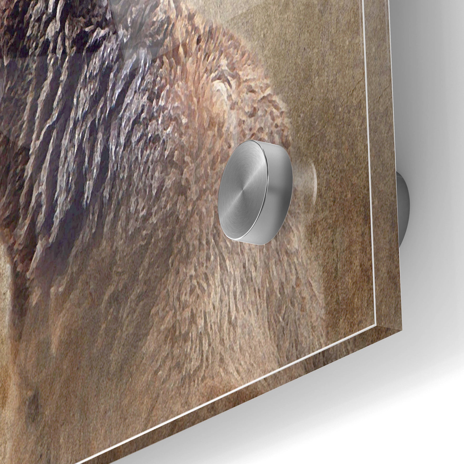 Epic Art 'Big Bear' by Karen Smith, Acrylic Glass Wall Art,24x36