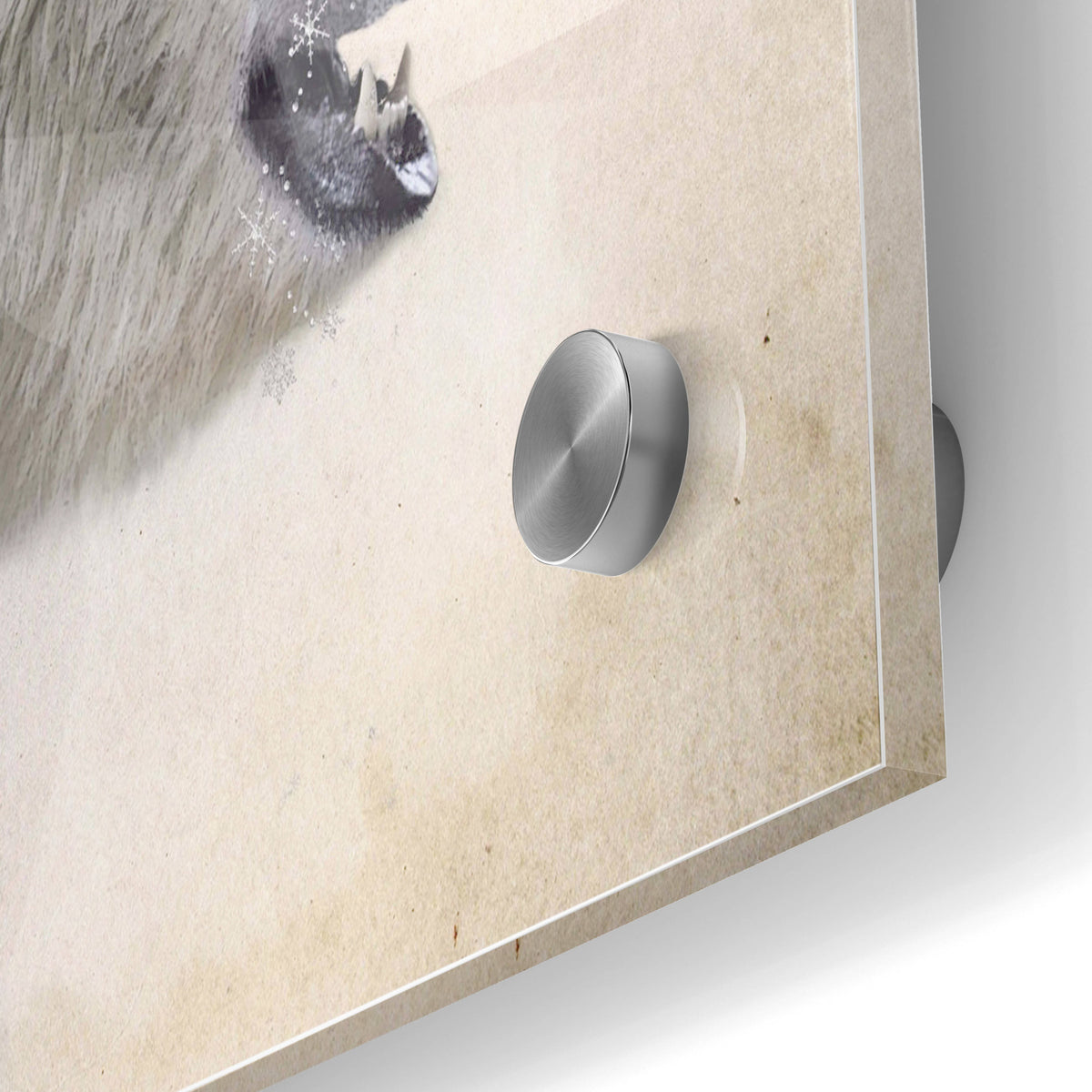 Epic Art 'Polar' by Karen Smith, Acrylic Glass Wall Art,24x36