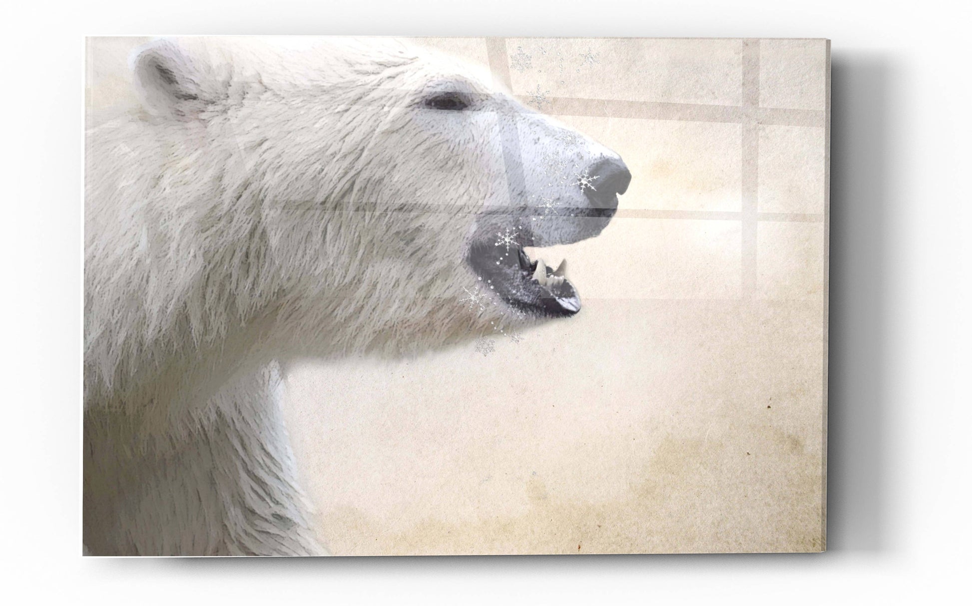 Epic Art 'Polar' by Karen Smith, Acrylic Glass Wall Art,24x36