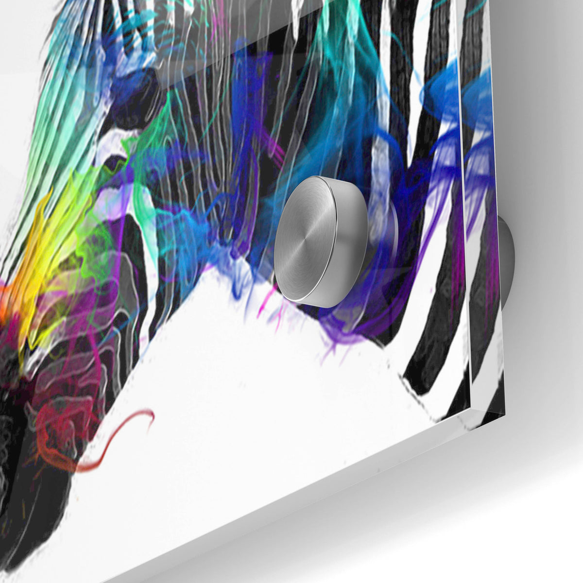 Epic Art 'Zebra' by Karen Smith, Acrylic Glass Wall Art,24x36