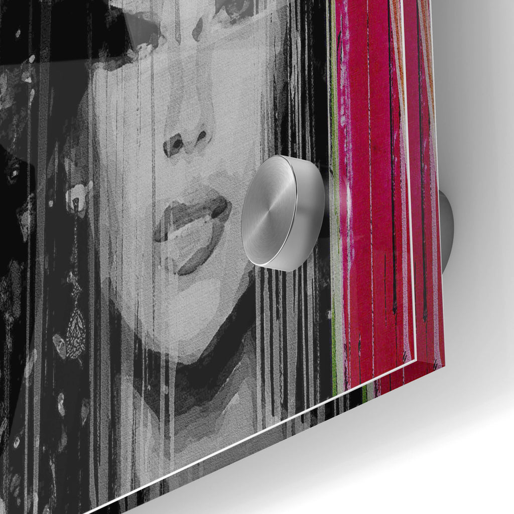 Epic Art 'Painted Lady' by Karen Smith, Acrylic Glass Wall Art,24x36