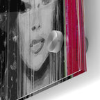 Epic Art 'Painted Lady' by Karen Smith, Acrylic Glass Wall Art,24x36